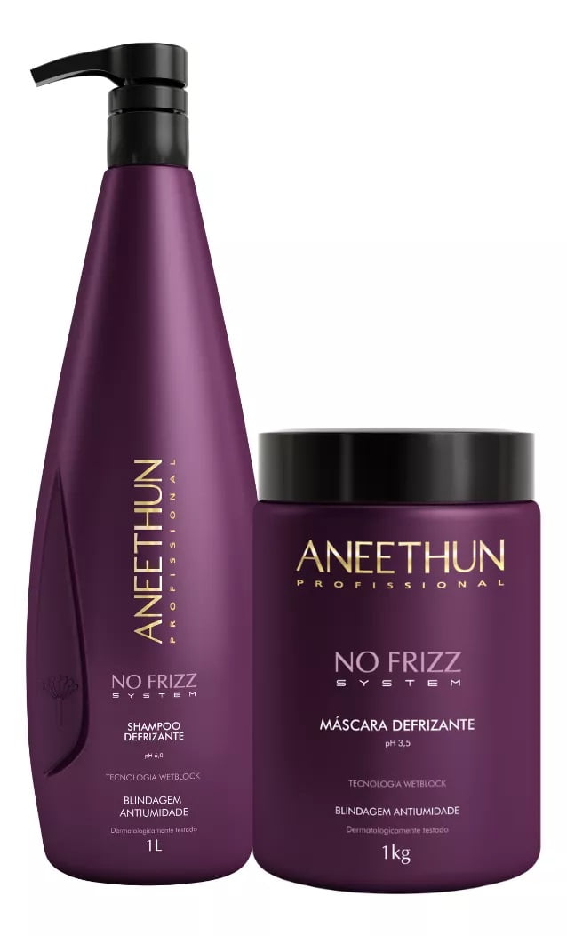 Kit Aneethun No Frizz - Shampoo 1L + Máscara 1Kg